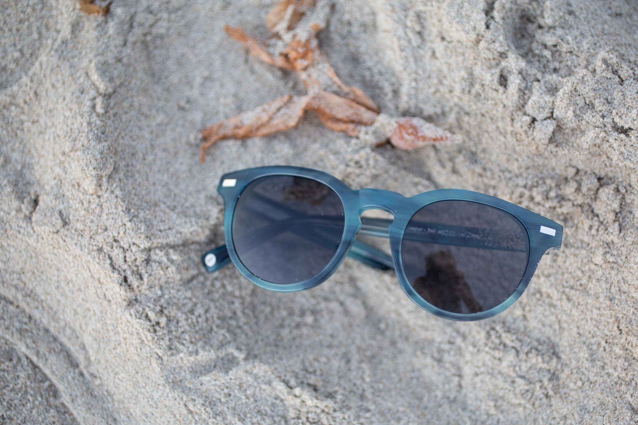 Warby Parker Jasper Sunglasses