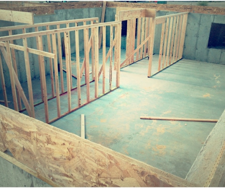 Living Planet Aquarium