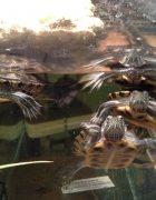 nightstand makeover!!!