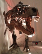 walking around Idaho Falls