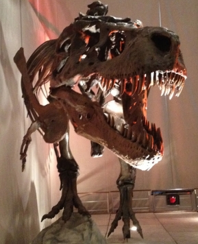 Idaho Falls: Museum of Idaho