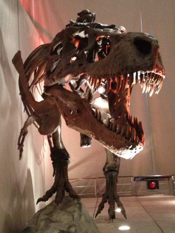 Idaho Falls: Museum of Idaho