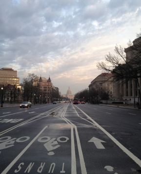 Hot Dog Vendors, National Archives Party, Washington Monument, Capitol, Mr. Lincoln and some Sushi!