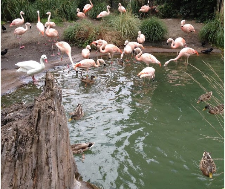 Seattle Woodland Park Zoo