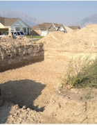 The Museum of Ancient Life