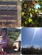 Anacortes 5 Hour Kayak Tour :)