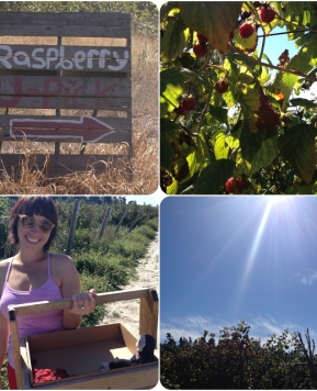 Seattle Day 4: Picking Berries, Ferry Ride, Wild Ginger, Chocolate cake