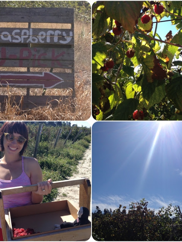 Seattle Day 4: Picking Berries, Ferry Ride, Wild Ginger, Chocolate cake