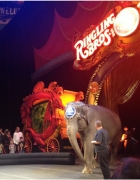 doors, trim, baseboard, and stucco start!