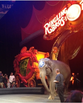Ringling Brothers & Barnum and Bailey Circus come to Salt Lake!