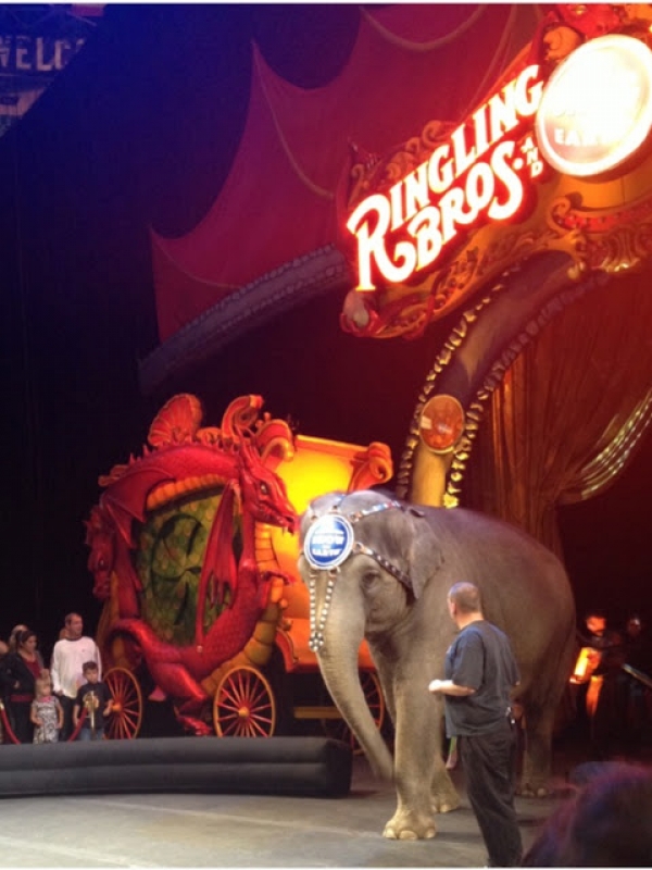 Ringling Brothers & Barnum and Bailey Circus come to Salt Lake!