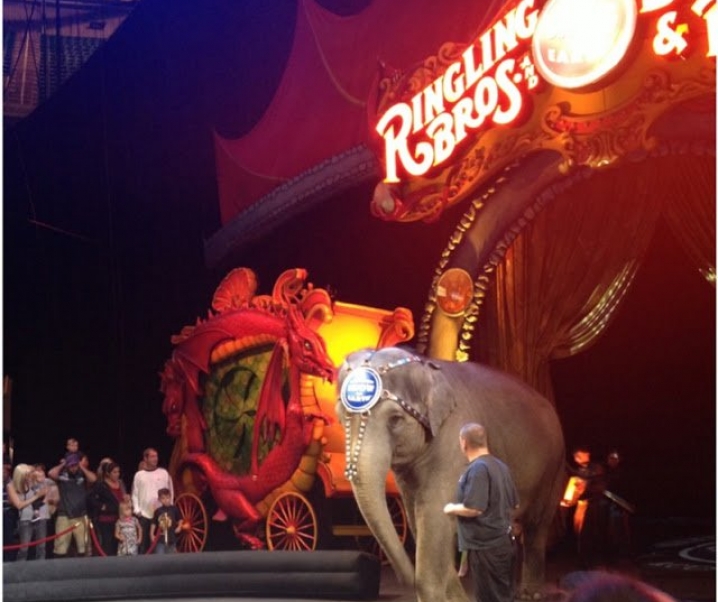 Ringling Brothers & Barnum and Bailey Circus come to Salt Lake!