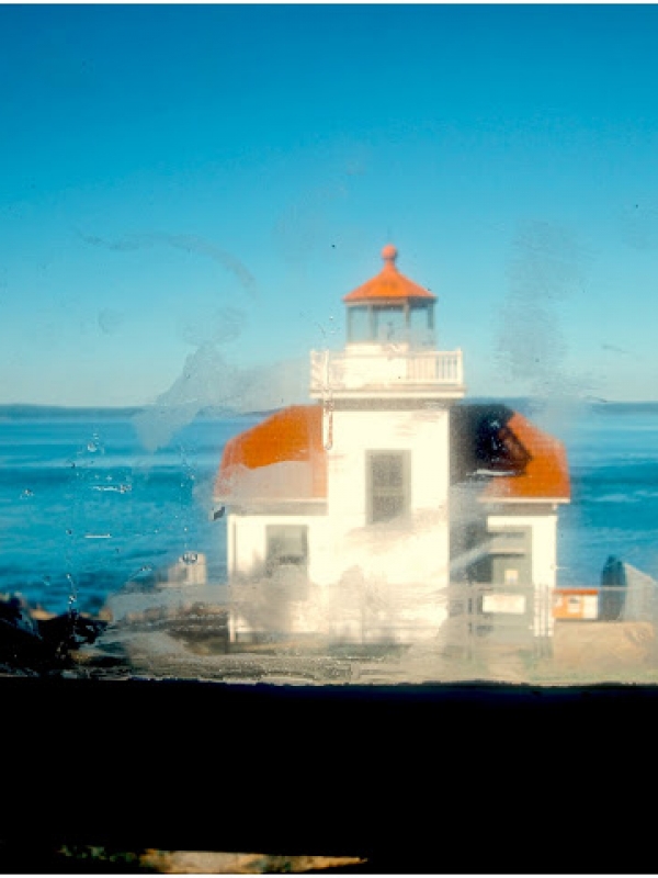 Anacortes 5 Hour Kayak Tour :)