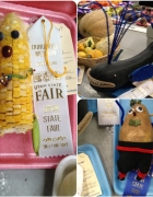 lots of home updates! and Doors and windows in!