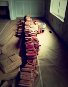 Its fall time up the Provo Canyon :)