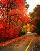 Living Planet Aquarium