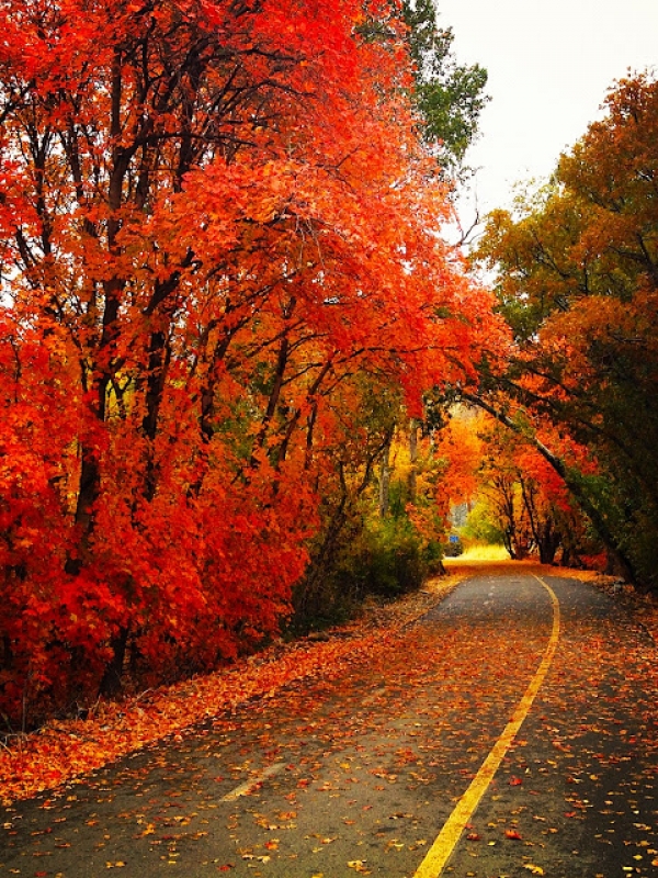 Its fall time up the Provo Canyon :)