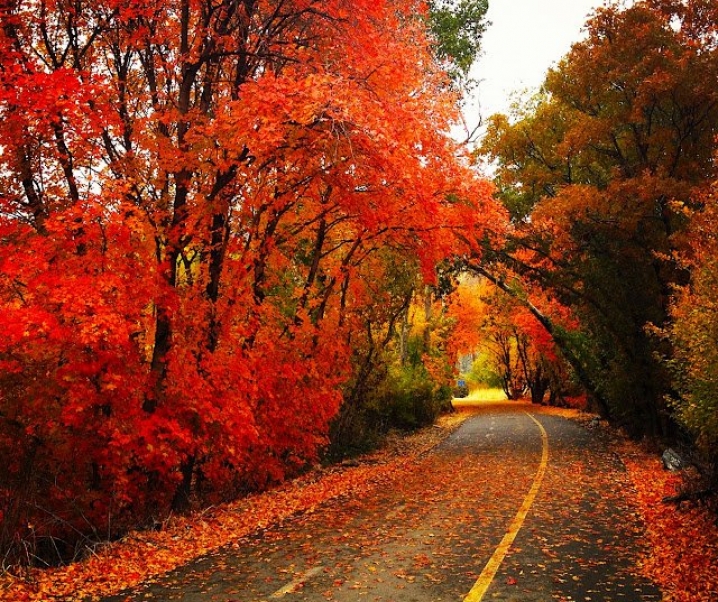 Its fall time up the Provo Canyon :)