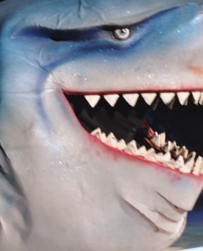 Best Bday Surprise Ever!