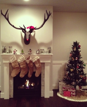 Every Reindeer Needs a Santa Hat