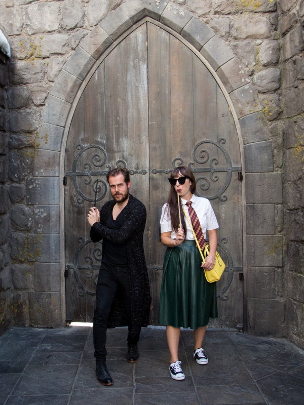 The Wizarding World of Harry Potter