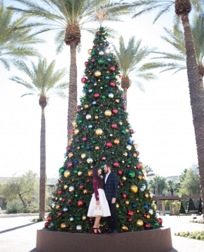 Christmas Vacation at Fairmont Scottsdale Princess