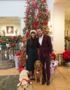 Christmas at Disney California Adventure