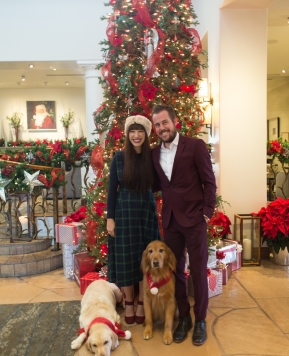 Plaid and Puppy Dogs