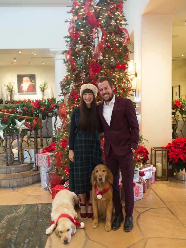 Plaid and Puppy Dogs