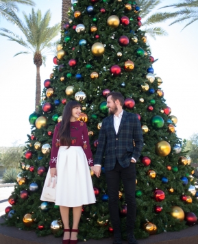 Oh Christmas Tree, Oh Christmas Tree