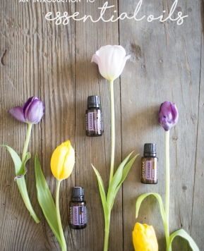 Welcome to Essential Oils