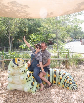 Bugzilla at Hogle Zoo