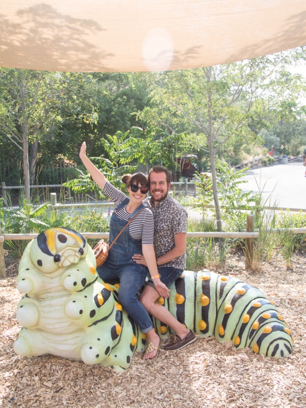 Bugzilla at Hogle Zoo