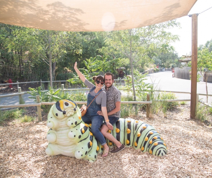 Bugzilla at Hogle Zoo