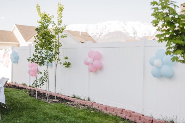 How To Plan The Ultimate Gender Reveal Party - Kelsey Bang