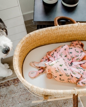 How To Introduce Your Baby To Your Dog