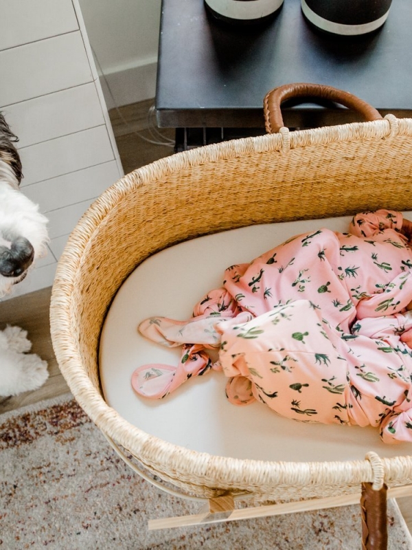 How To Introduce Your Baby To Your Dog