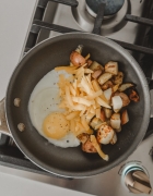 How To Help Your Dog Suffering From Loud Noise Anxiety