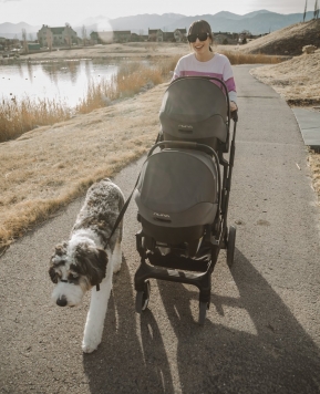 5 Things To Consider Before Purchasing A Stroller
