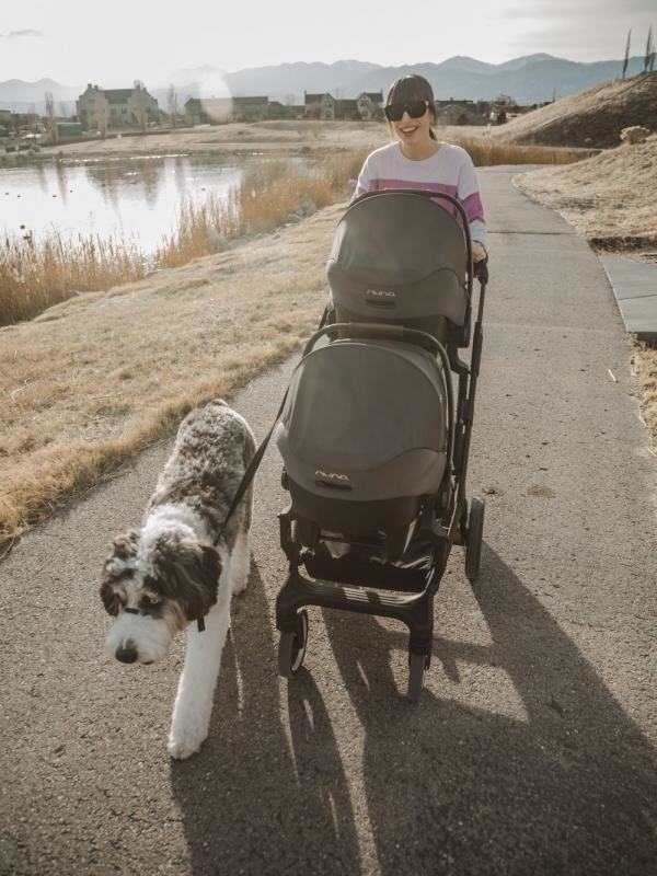 5 Things To Consider Before Purchasing A Stroller