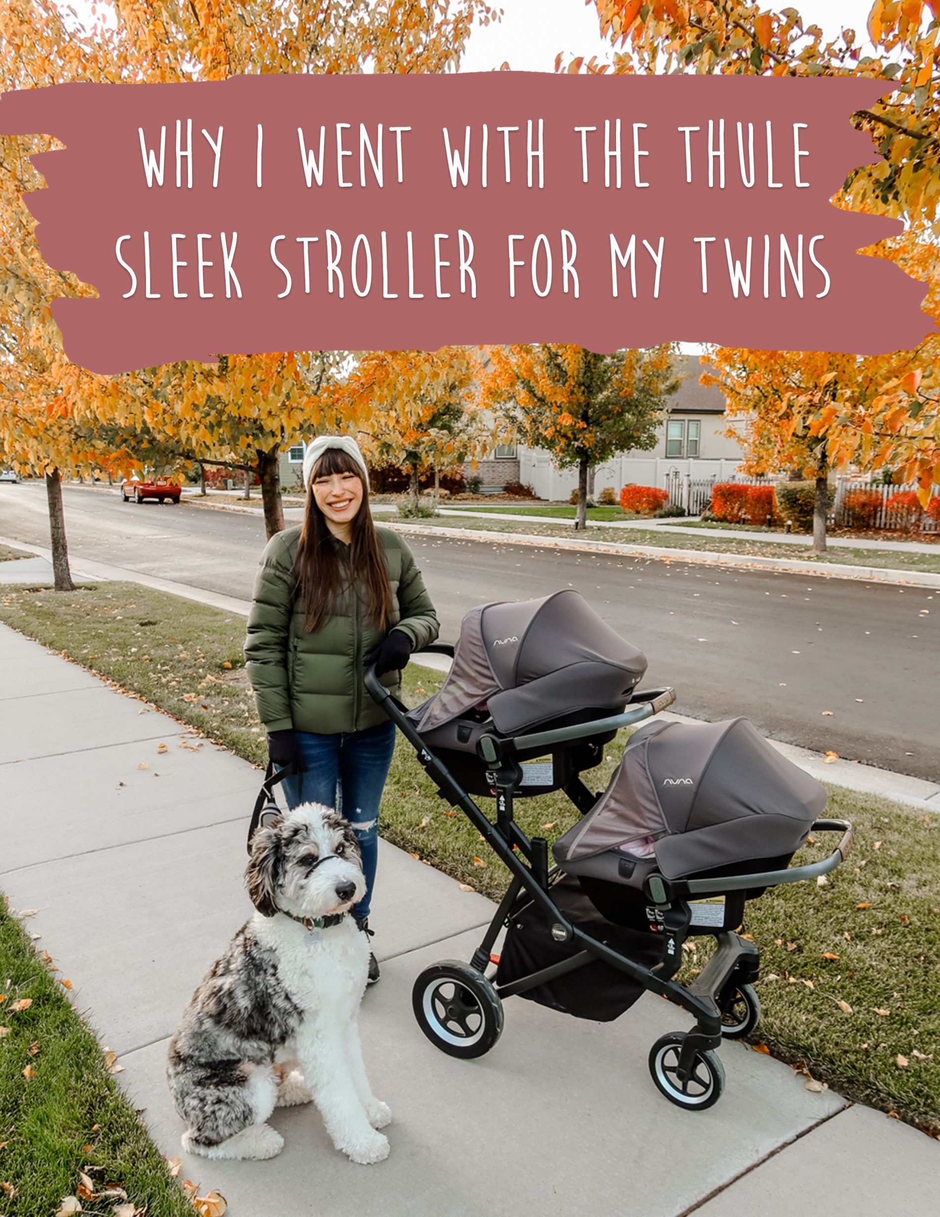 thule stroller twins