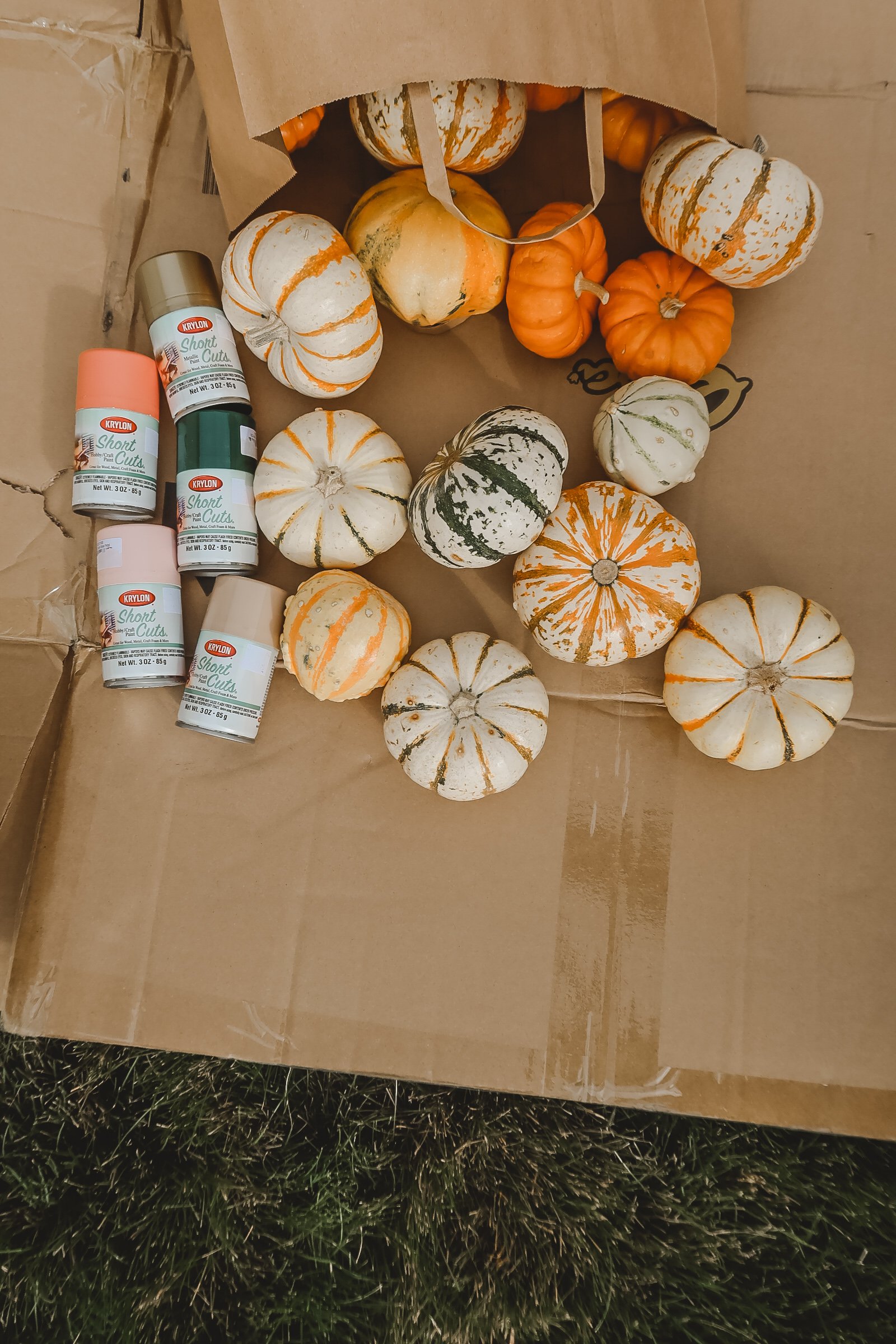 How To Spray Paint Pumpkins Easy Thanksgiving Decor DIY Kelsey Bang