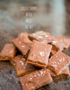 Fishy Fishy— P.S. its finally Shark week!