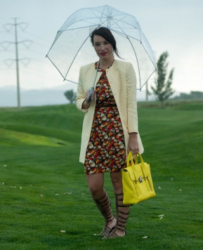 Summer Thunder Storms