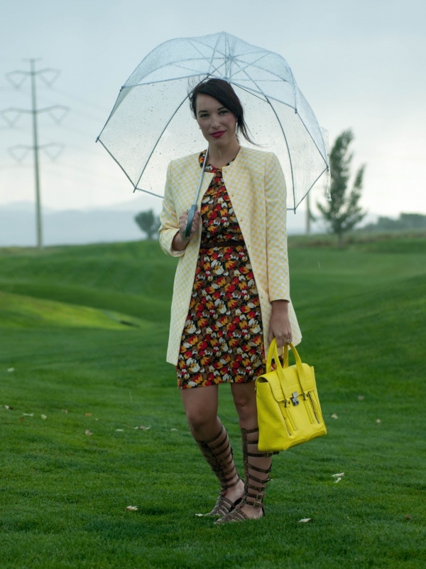 Summer Thunder Storms