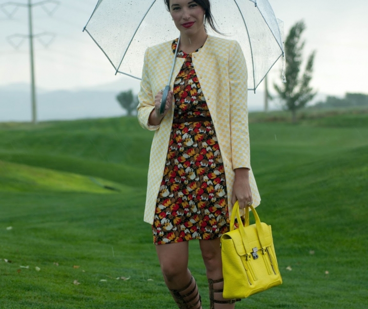 Summer Thunder Storms