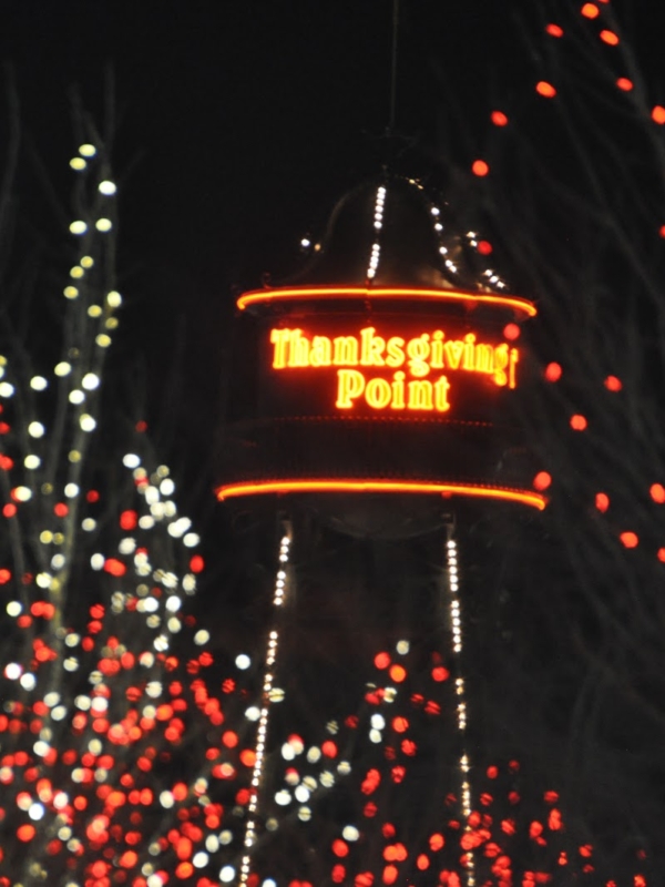 Thanksgiving Point Reindeer and Lights