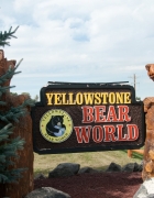 bear world 2-bottle feeding