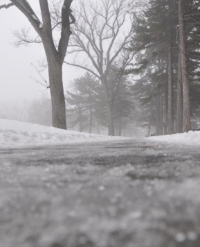 Liberty Park Duck Pond