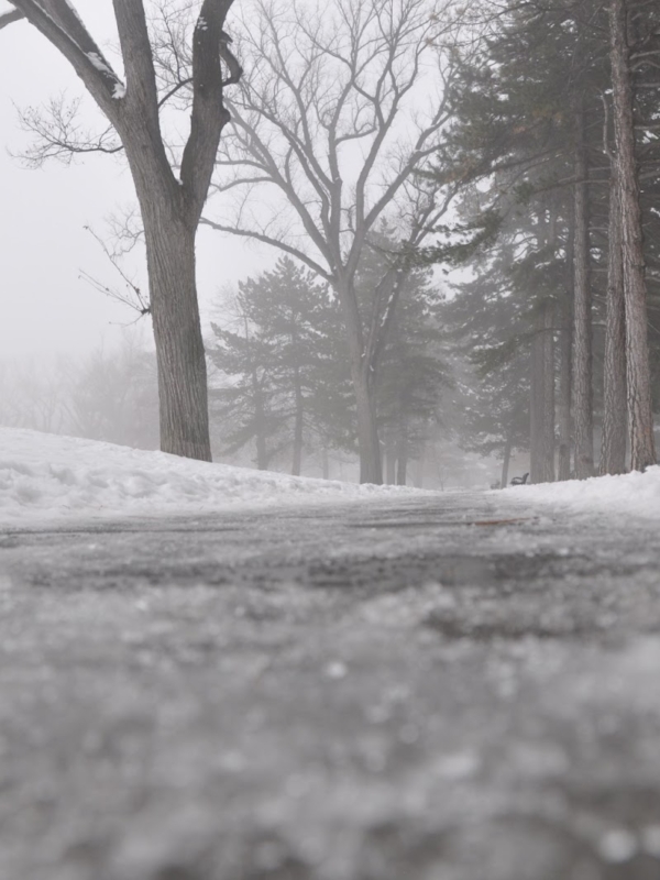 Liberty Park Duck Pond